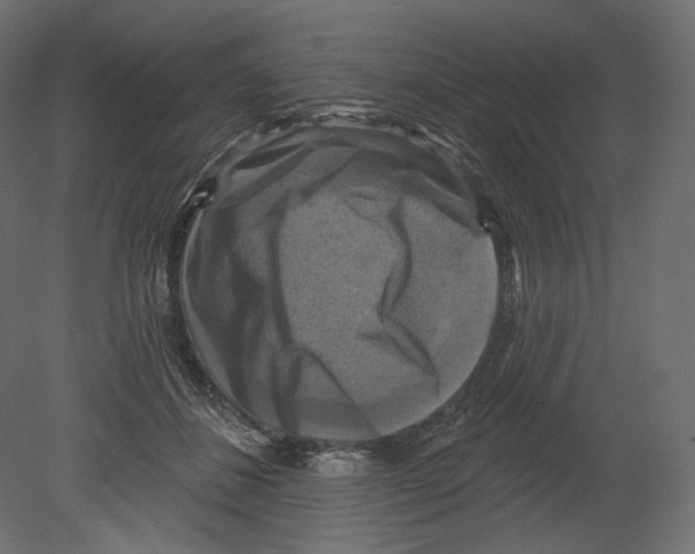 X0000080690508200701121728