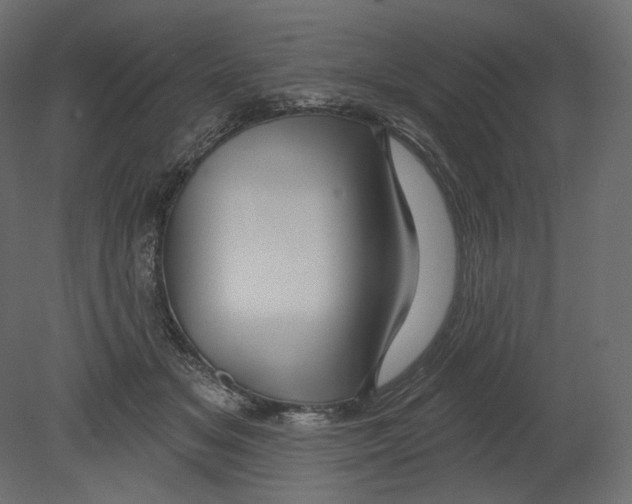 X0000080690509200701121728