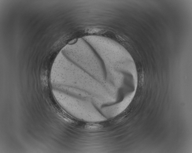 X0000080690510200701121728