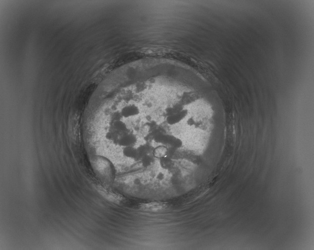 X0000080690511200701121728