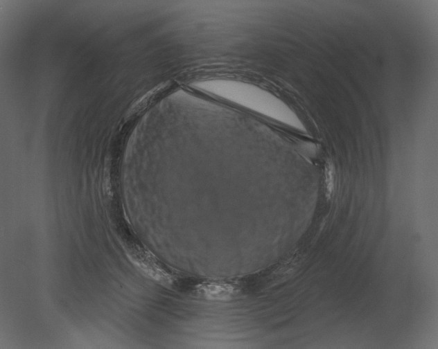 X0000080690512200701121728