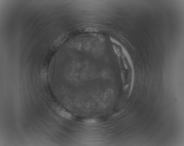 X0000080690513200701121728