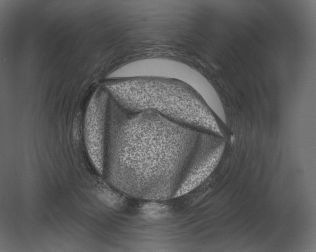 X0000080690515200701121728