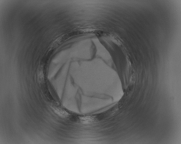 X0000080690516200701121728