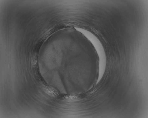 X0000080690517200701121728