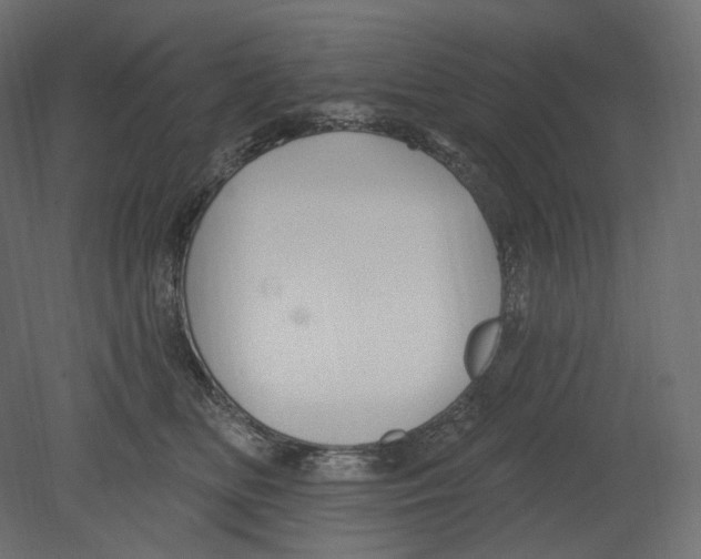 X0000080690518200701121728