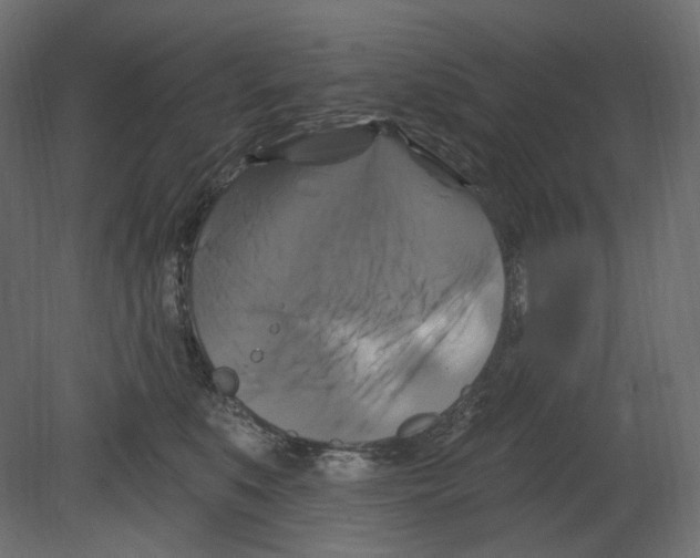 X0000080690519200701121728