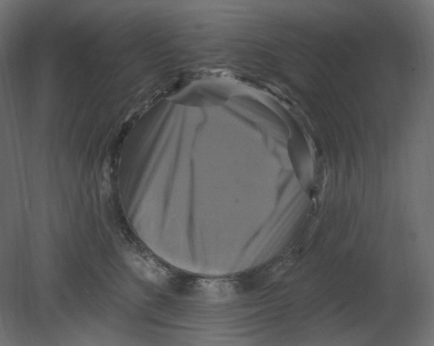 X0000080690520200701121728