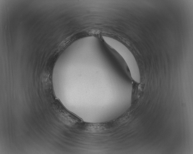 X0000080690521200701121728