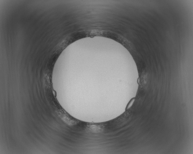 X0000080690522200701121728