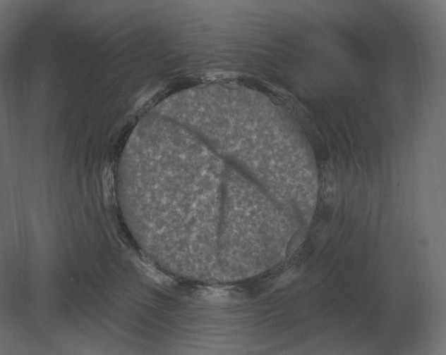 X0000080690523200701121728