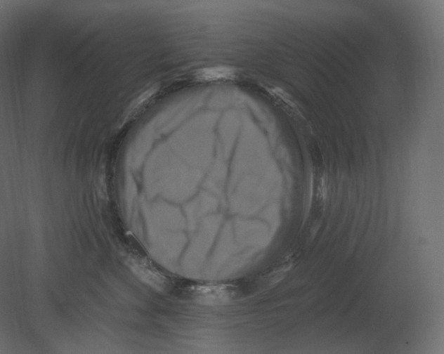 X0000080690524200701121728