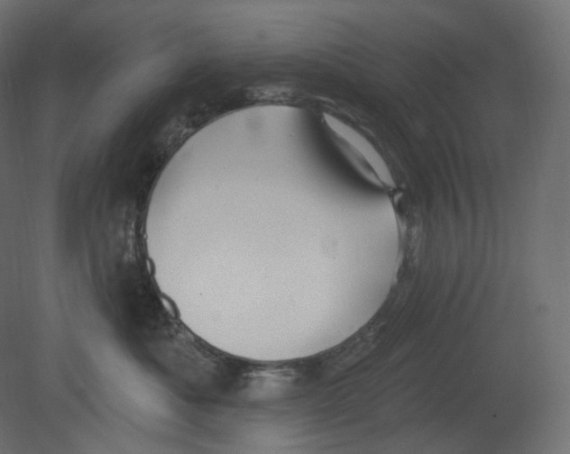 X0000080690525200701121728