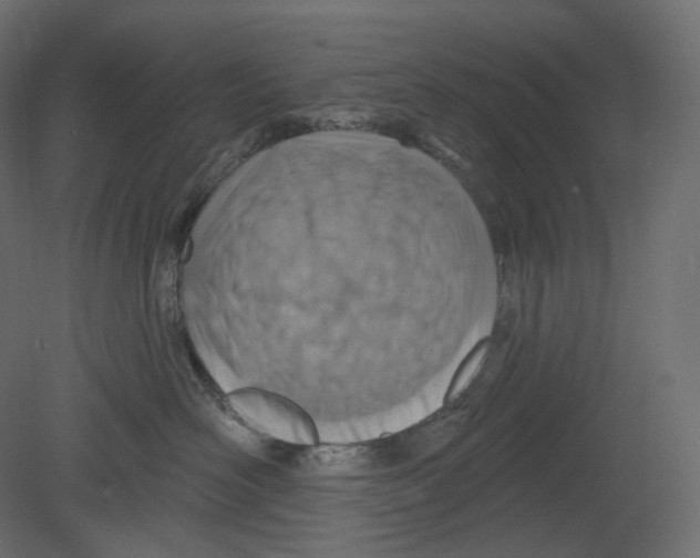 X0000080690526200701121728