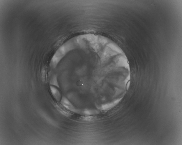 X0000080690527200701121728