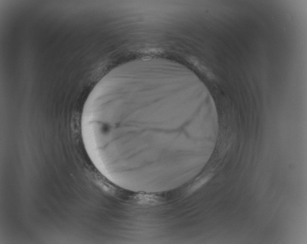 X0000080690528200701121728