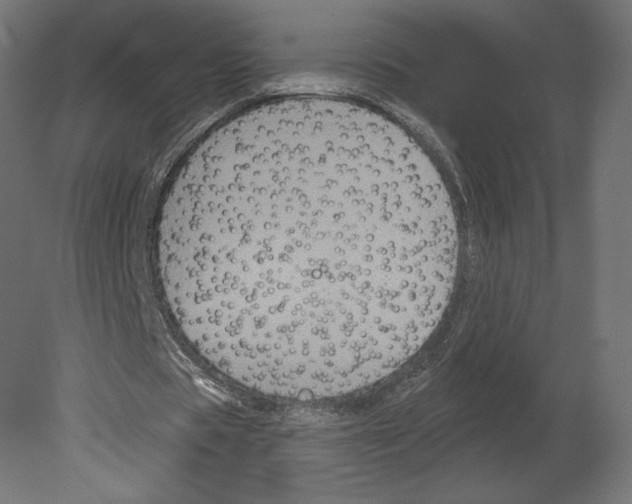 X0000080690529200701121727