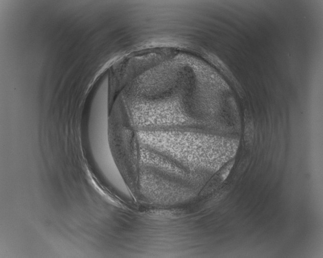 X0000080690530200701121727