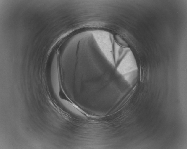 X0000080690531200701121727