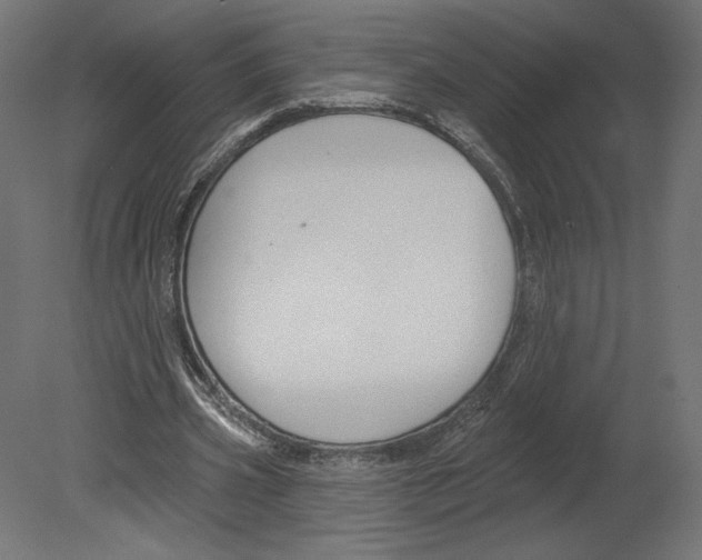 X0000080690533200701121727