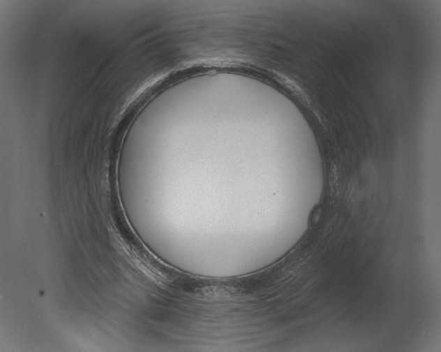 X0000080690535200701121727