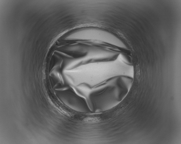 X0000080690536200701121727