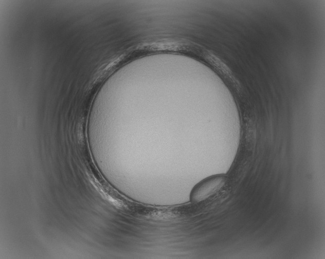 X0000080690537200701121727