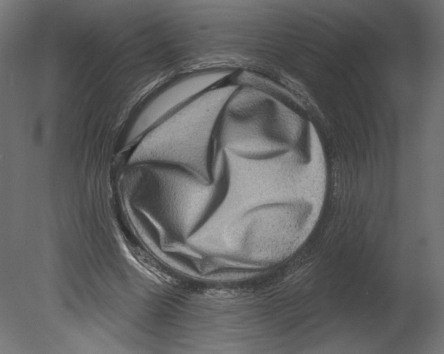 X0000080690538200701121727