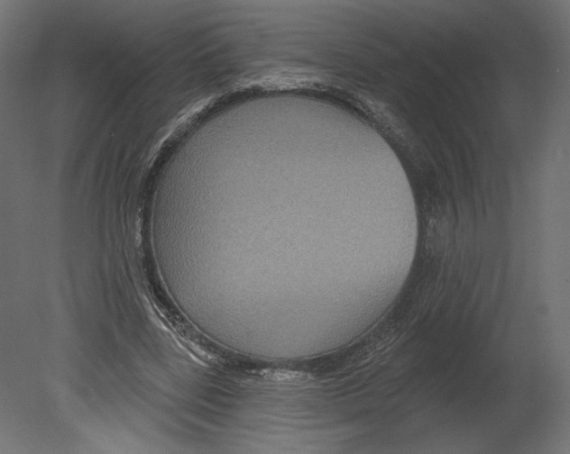 X0000080690539200701121727