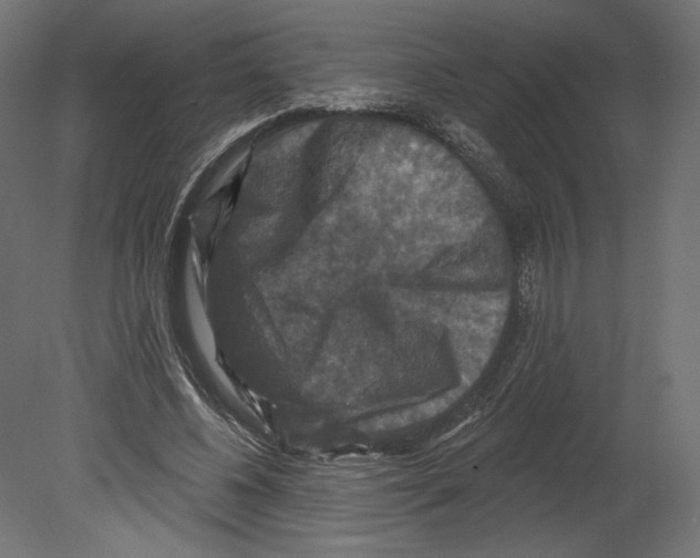 X0000080690540200701121727