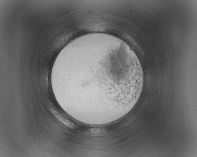 X0000080690541200701121728