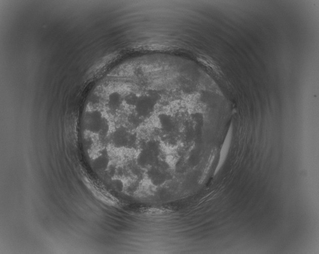 X0000080690542200701121728