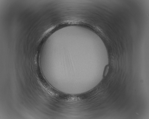 X0000080690543200701121728