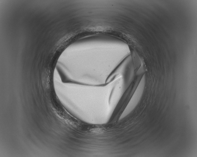 X0000080690544200701121728