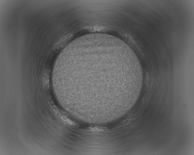 X0000080690545200701121728