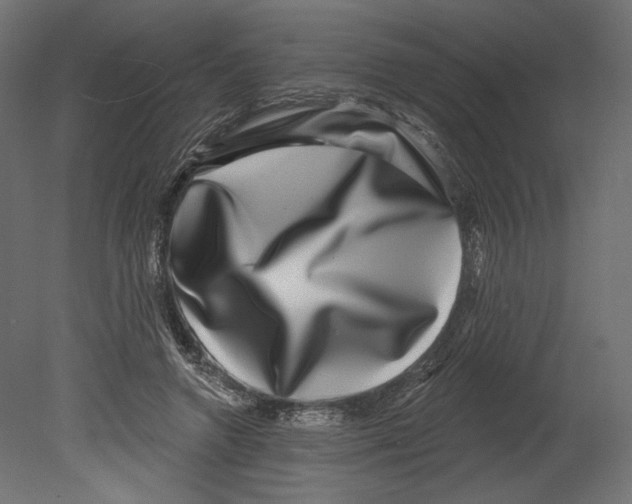 X0000080690546200701121728