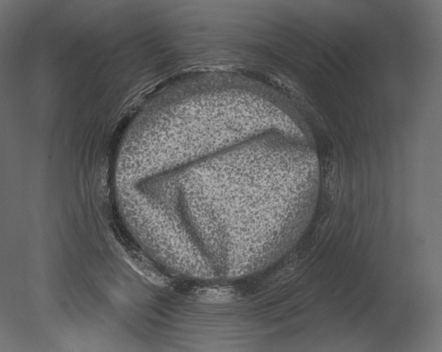 X0000080690548200701121728