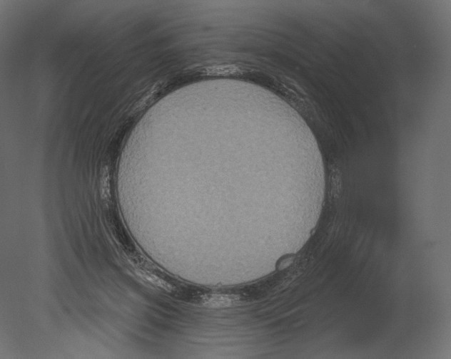 X0000080690549200701121728