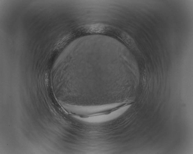 X0000080690551200701121728