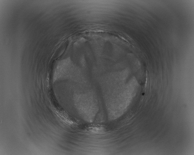 X0000080690552200701121728