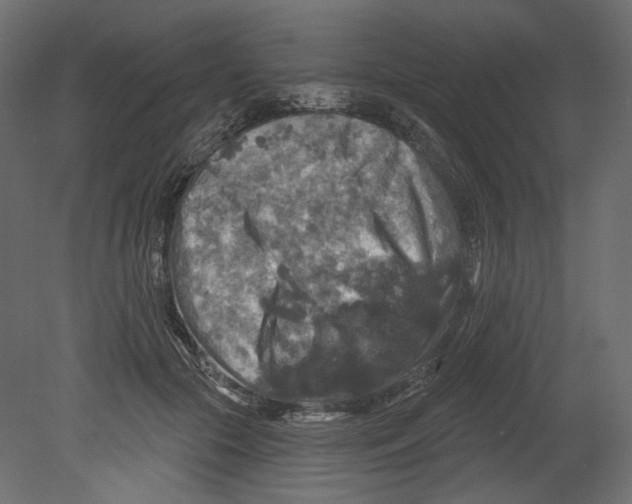 X0000080690553200701121728