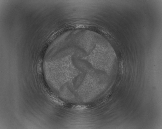 X0000080690554200701121728