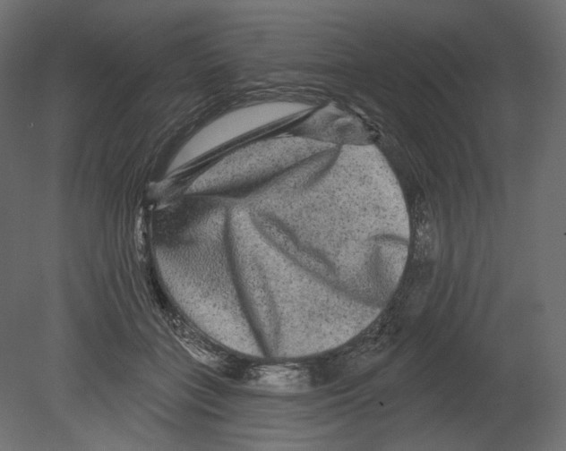 X0000080690555200701121728