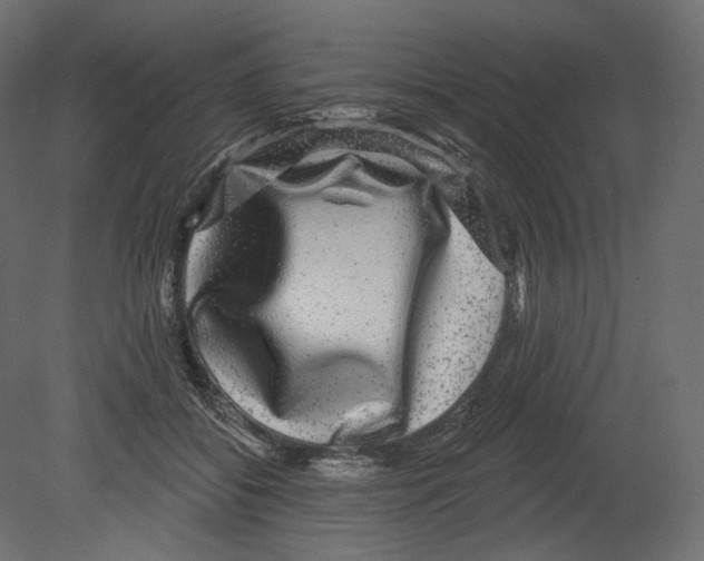 X0000080690556200701121728