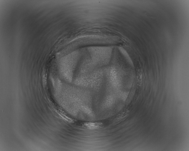 X0000080690558200701121728