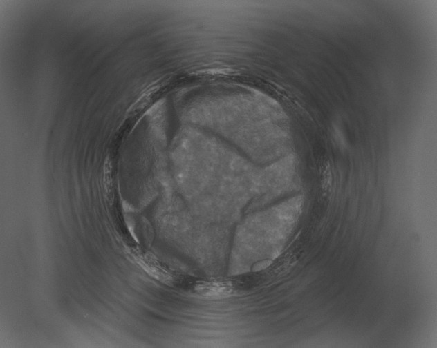 X0000080690559200701121728