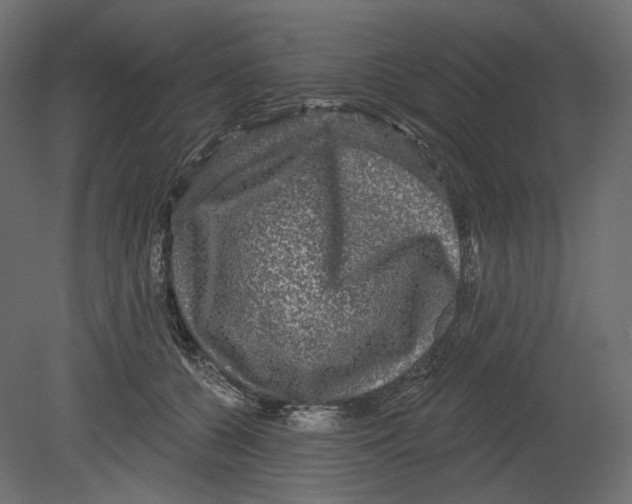 X0000080690560200701121728