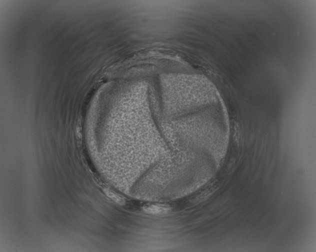 X0000080690561200701121728