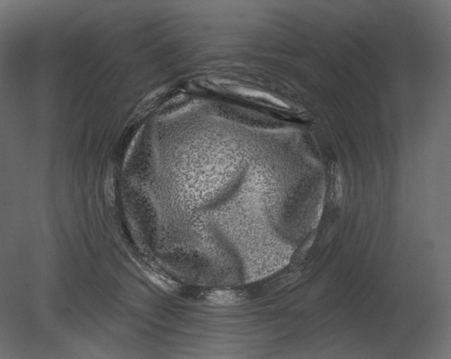 X0000080690562200701121728