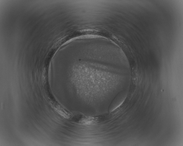 X0000080690563200701121728